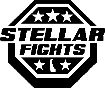 Stellarfights banner image